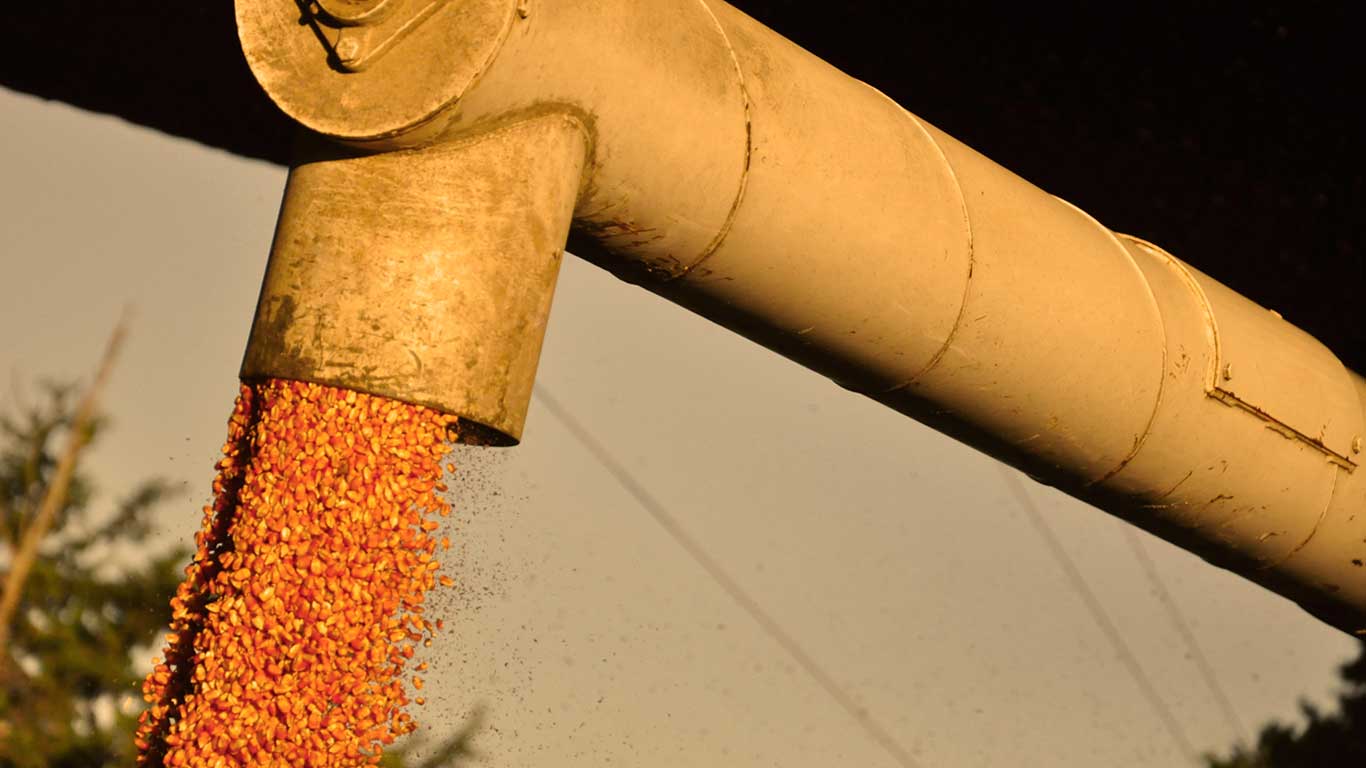 Silo para guardado de cereales - Compania de Cereales La Plada